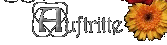 Auftritte von Constanza
